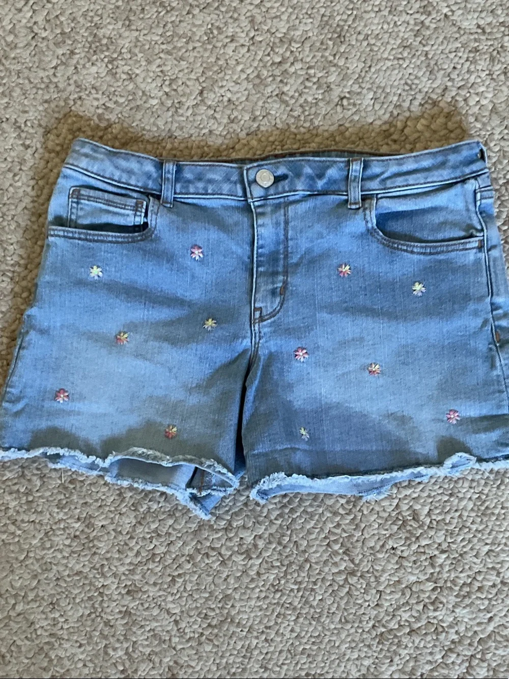 GAP Light Blue Denim Shorts with Pastel Floral Embroidery